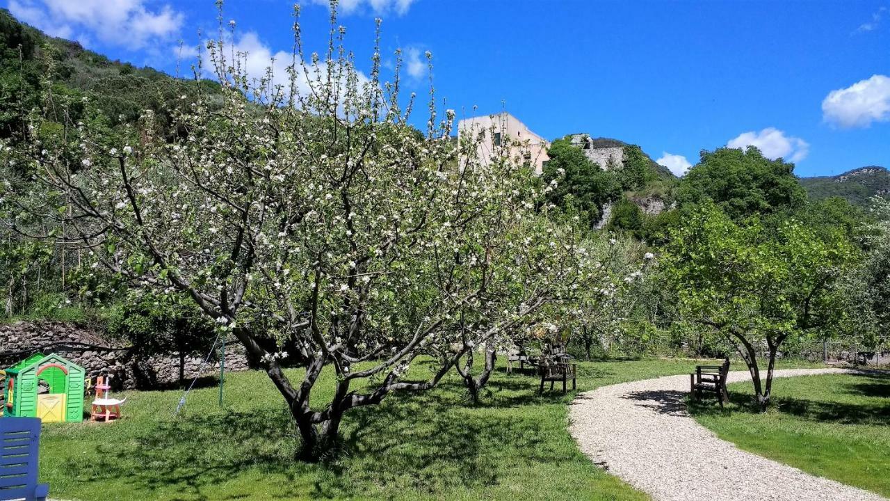 Casa Papaveri Rossi Finale Ligure Εξωτερικό φωτογραφία